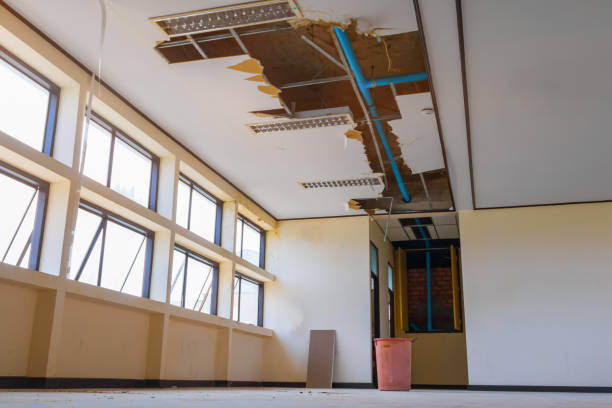 Best Flooded house restoration  in Artesia, CA