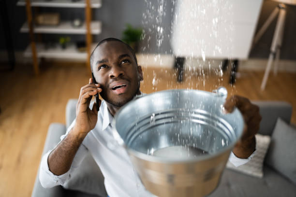 Best Water damage contractors near me  in Artesia, CA