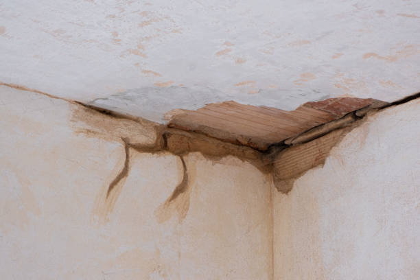 Best 24/7 water damage repair  in Artesia, CA