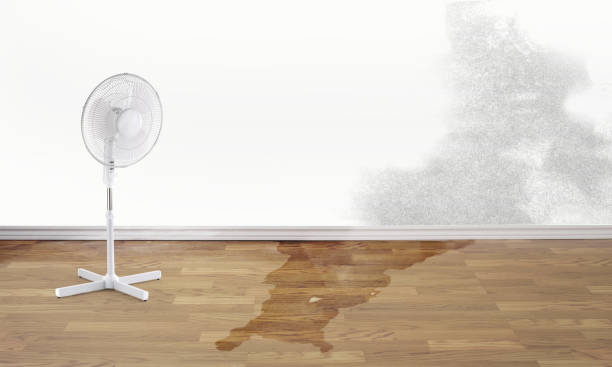 Best Local water damage restoration  in Artesia, CA