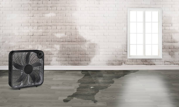 Best Residential water damage restoration  in Artesia, CA