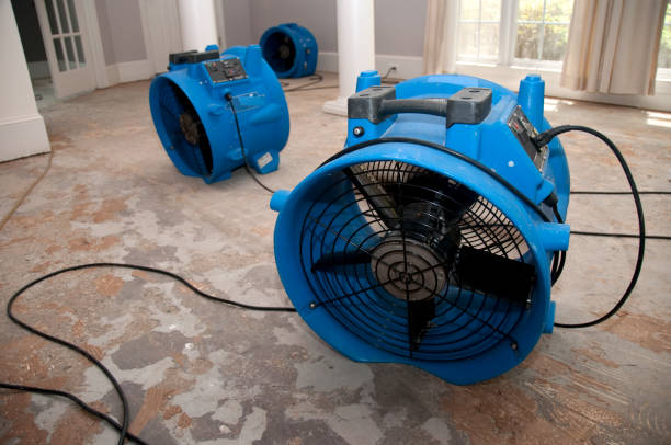 Best Flooded house restoration  in Artesia, CA