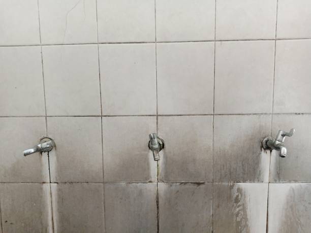 Best Water damage cleanup near me  in Artesia, CA
