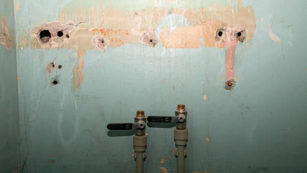 Best Flood restoration services  in Artesia, CA