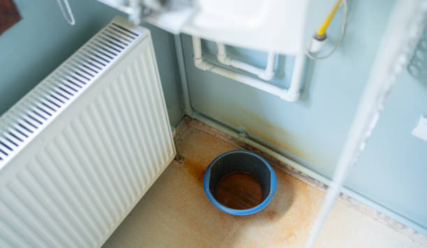 Best Water damage restoration services  in Artesia, CA