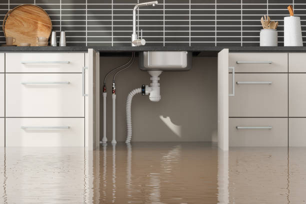 Best 24-hour water damage restoration  in Artesia, CA