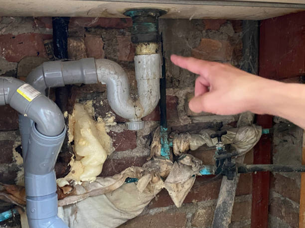 Best 24-hour water damage restoration  in Artesia, CA