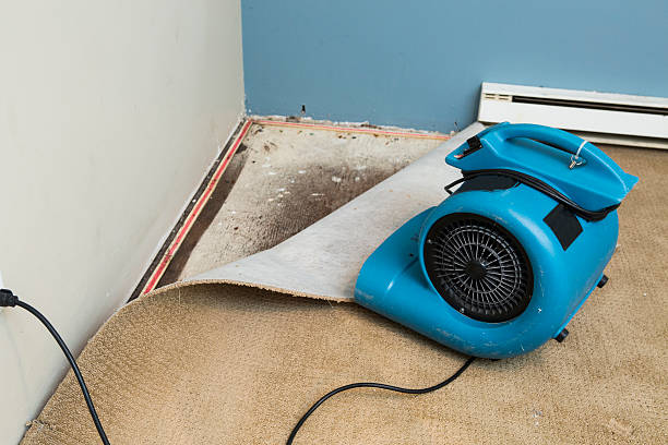 Best Professional water damage repair  in Artesia, CA